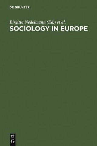 Könyv Sociology in Europe Birgitta Nedelmann