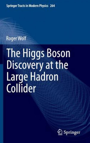 Kniha Higgs Boson Discovery at the Large Hadron Collider Roger Wolf
