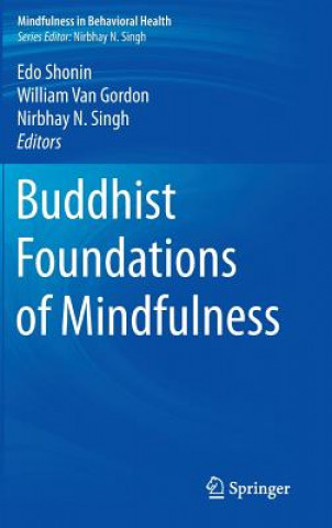 Книга Buddhist Foundations of Mindfulness Edo Shonin