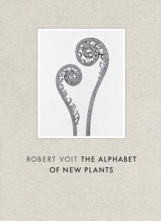 Book Robert Voit Robert Voit