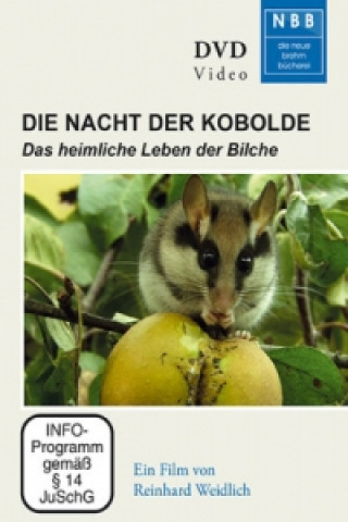 Videoclip Die Nacht der Kobolde, 1 DVD Reinhard Weidlich