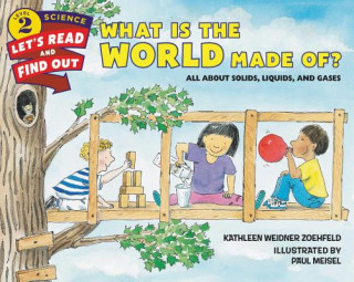 Kniha What Is the World Made Of? Kathleen Weidner Zoehfeld