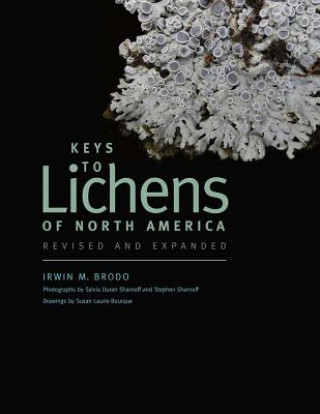 Kniha Keys to Lichens of North America Irwin M. Brodo