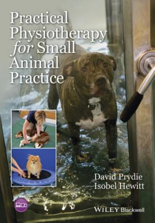 Kniha Practical Physiotherapy for Small Animal Practice David Prydie