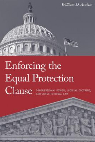 Kniha Enforcing the Equal Protection Clause William Araiza