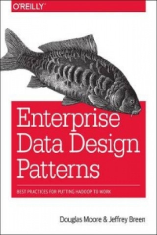 Könyv Enterprise Data Design Patterns Douglas Moore