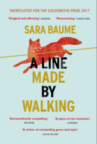 Kniha Line Made By Walking Sara Baume