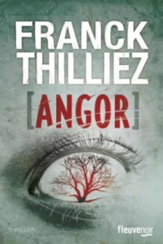 Könyv Angor Franck Thilliez