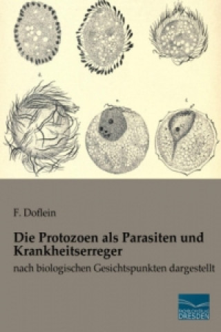 Libro Die Protozoen als Parasiten und Krankheitserreger F. Doflein