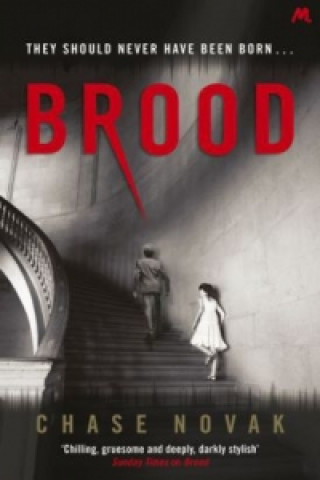 Buch Brood Chase Novak