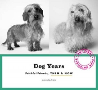 Книга Dog Years Amanda Jones