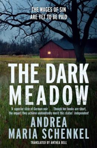 Könyv Dark Meadow Andrea Maria Schenkel