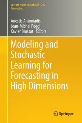 Könyv Modeling and Stochastic Learning for Forecasting in High Dimensions Anestis Antoniadis