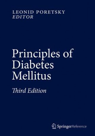 Kniha Principles of Diabetes Mellitus Leonid Poretsky