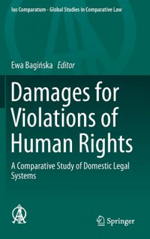 Kniha Damages for Violations of Human Rights Ewa Baginska