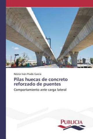 Libro Pilas huecas de concreto reforzado de puentes Prado Garcia Nestor Ivan