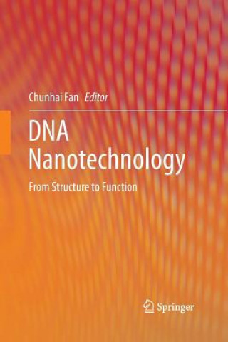 Kniha DNA Nanotechnology Chunhai Fan