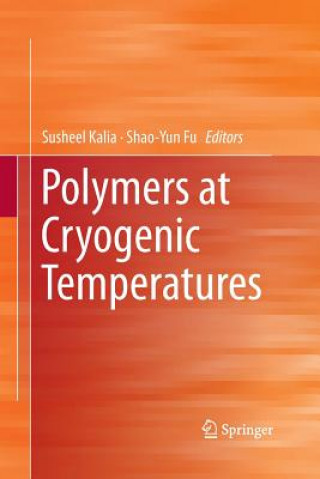 Könyv Polymers at Cryogenic Temperatures Shao-Yun Fu