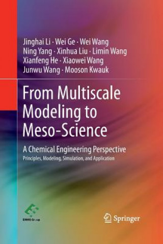 Kniha From Multiscale Modeling to Meso-Science Jinghai Li