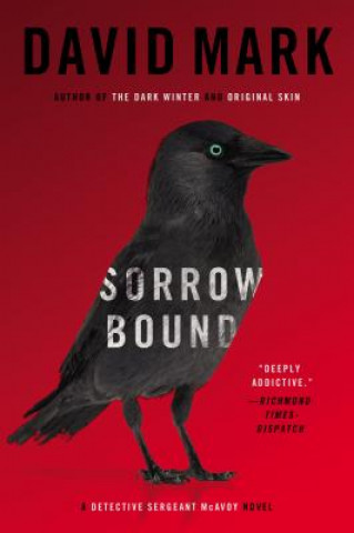 Kniha Sorrow Bound. Ewige Buße, englische Ausgabe David Mark