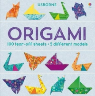 Könyv Origami Lucy Bowman