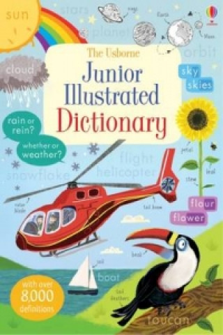 Carte Junior Illustrated English Dictionary Hannah Wood