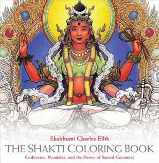 Книга Shakti Coloring Book Ekabhumi Charles Ellik