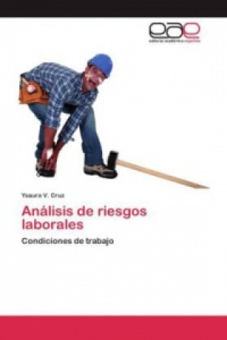 Kniha Analisis de riesgos laborales Ysaura V. Cruz