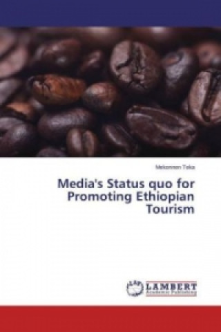 Kniha Media's Status quo for Promoting Ethiopian Tourism Mekonnen Teka
