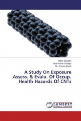 Knjiga A Study On Exposure Assess. & Evalu. Of Occup. Health Hazards Of CNTs Akbar Ziauddin