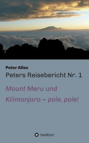 Könyv Peters Reisebericht Nr. 1 Peter Alles