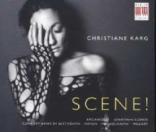 Audio Scene!, 1 Audio-CD Christiane Karg