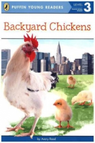 Carte Backyard Chickens 