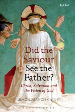 Kniha Did the Saviour See the Father? Simon Francis Gaine