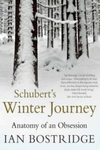 Könyv Schubert's Winter Journey Ian Bostridge