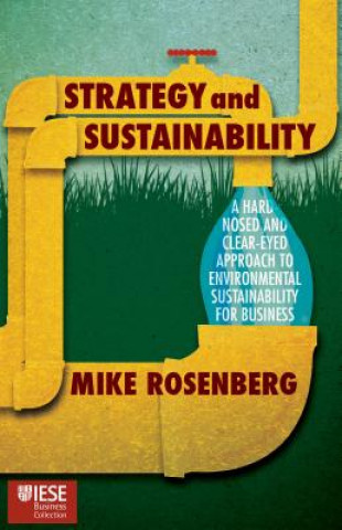 Kniha Strategy and Sustainability Michael Rosenberg