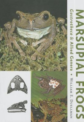 Kniha Marsupial Frogs William E. Duellman