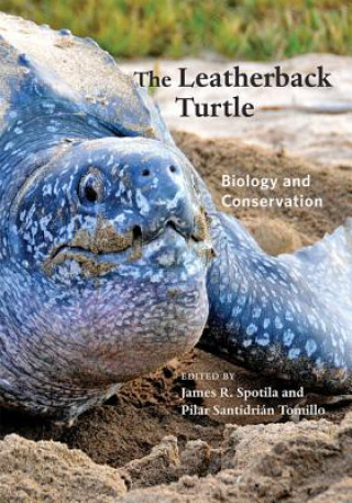 Könyv Leatherback Turtle 