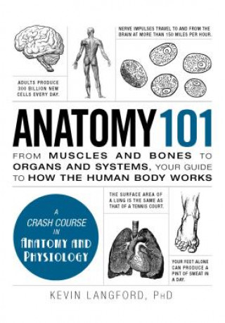Kniha Anatomy 101 Kevin Langford
