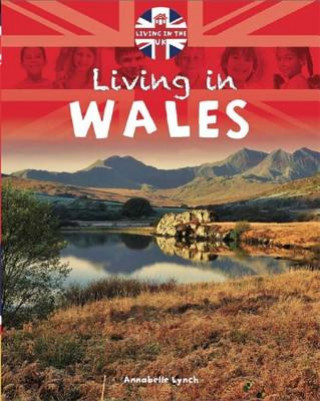 Carte Let's Visit... Wales Annabelle Lynch