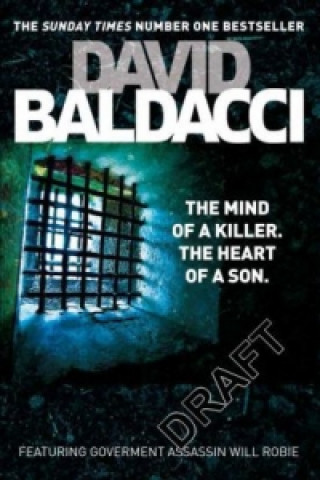 Buch Guilty David Baldacci