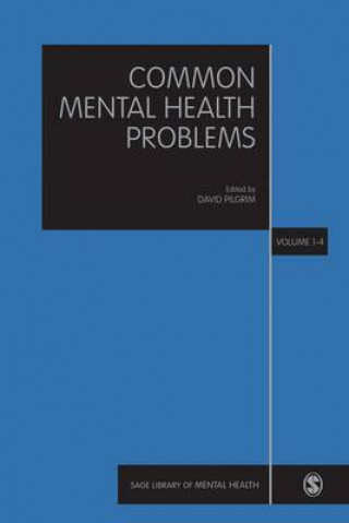 Buch Common Mental Health Problems David Pilgrim