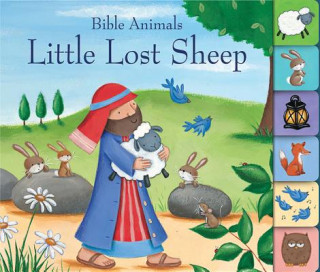 Boek Little Lost Sheep Josh Edwards