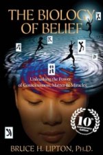 Könyv Biology of Belief Bruce Lipton