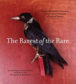 Könyv Rarest of the Rare: The Stories Behind the Harvard Museum of Natural History Nancy Pick