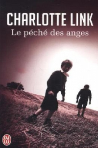 Knjiga Le péché des anges Charlotte Link