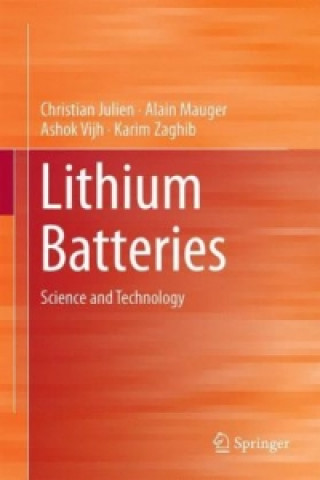 Kniha Lithium Batteries Christian Julien