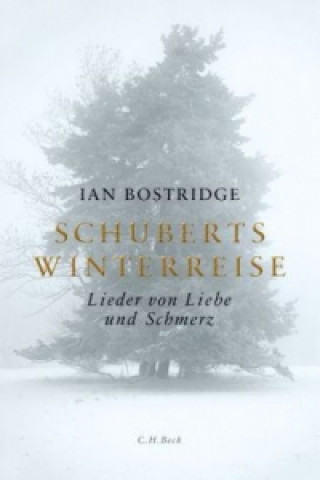 Kniha Schuberts Winterreise Ian Bostridge