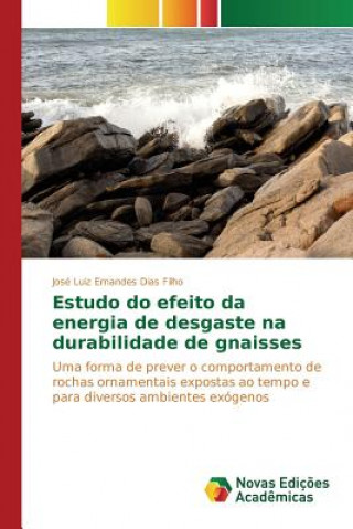 Książka Estudo do efeito da energia de desgaste na durabilidade de gnaisses Dias Filho Jose Luiz Ernandes