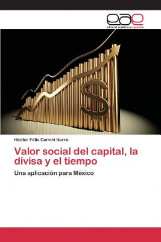 Kniha Valor social del capital, la divisa y el tiempo Cervini Iturre Hector Felix